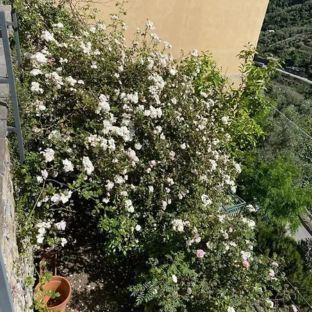 Ferienhaus Villa Taggiasca *
